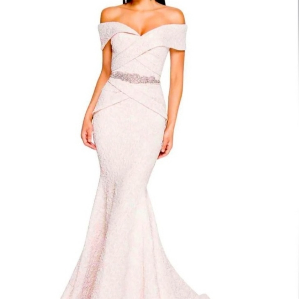Terani Couture Blush and Gold Evening Gown